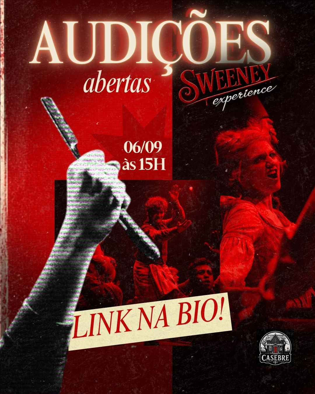 AUDICOES